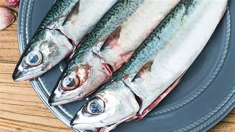 11 Health Benefits of Mackerel Fish: Nutrition, Safety, and .